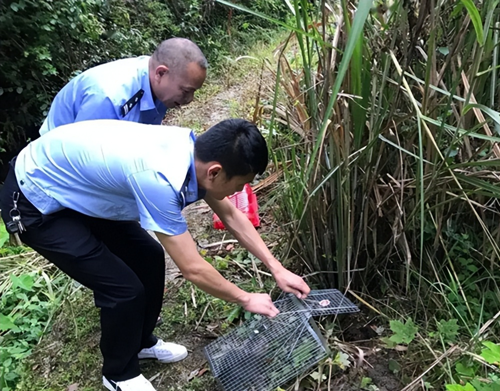 普法:非法狩獵罪的行為對象,主觀認定,立案標準與定罪量刑