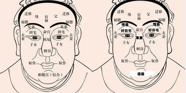 你的下巴,额头,暴露了性格和命运,面相会影响一生