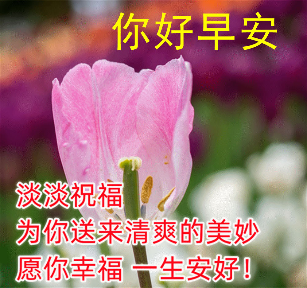 4月25日周二最新早上好问候语 早上好表情图片大全