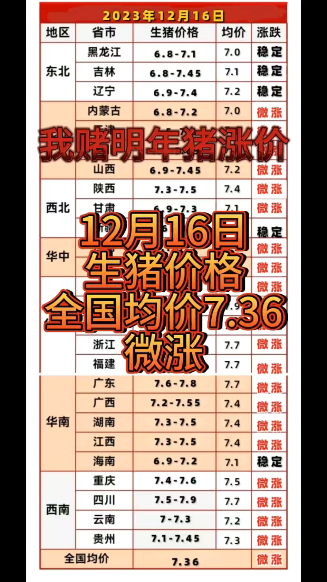 我赌明年猪涨价明日全国生猪价格表明日猪价猪价行情