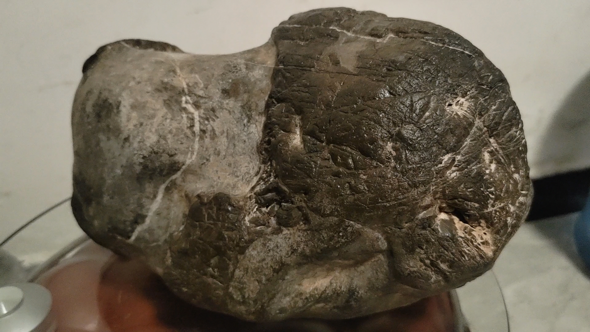 像什么动物?这石陨石,无磁,9320克