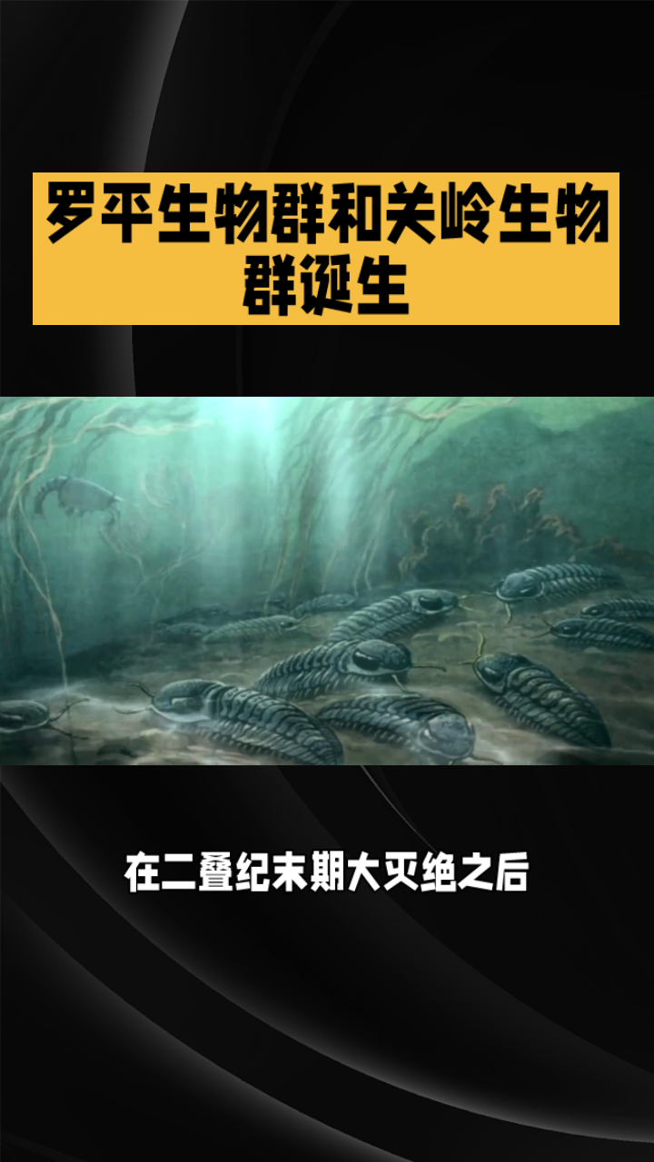 关岭生物群图片