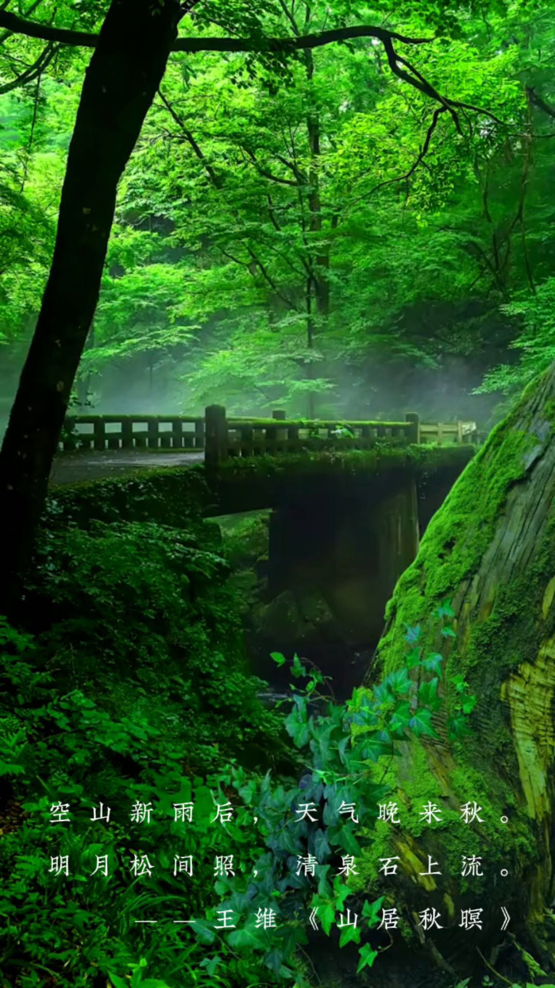 空山新雨后 意境图片