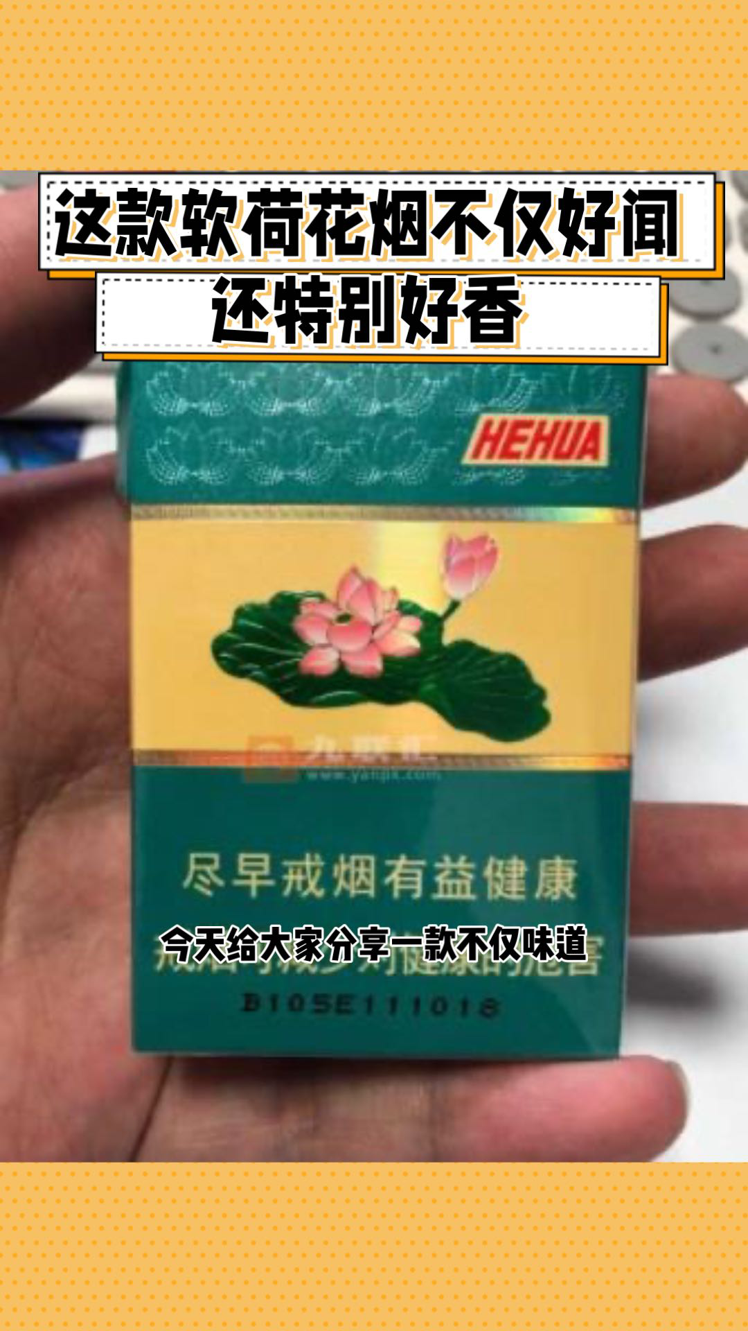 软包荷花烟图片