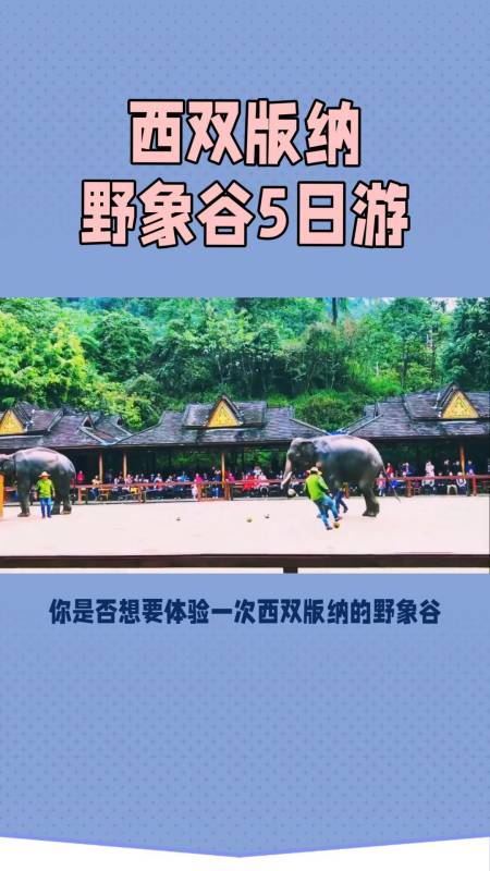 西双版纳野象谷5日4晚跟团游尽享舒适住宿
