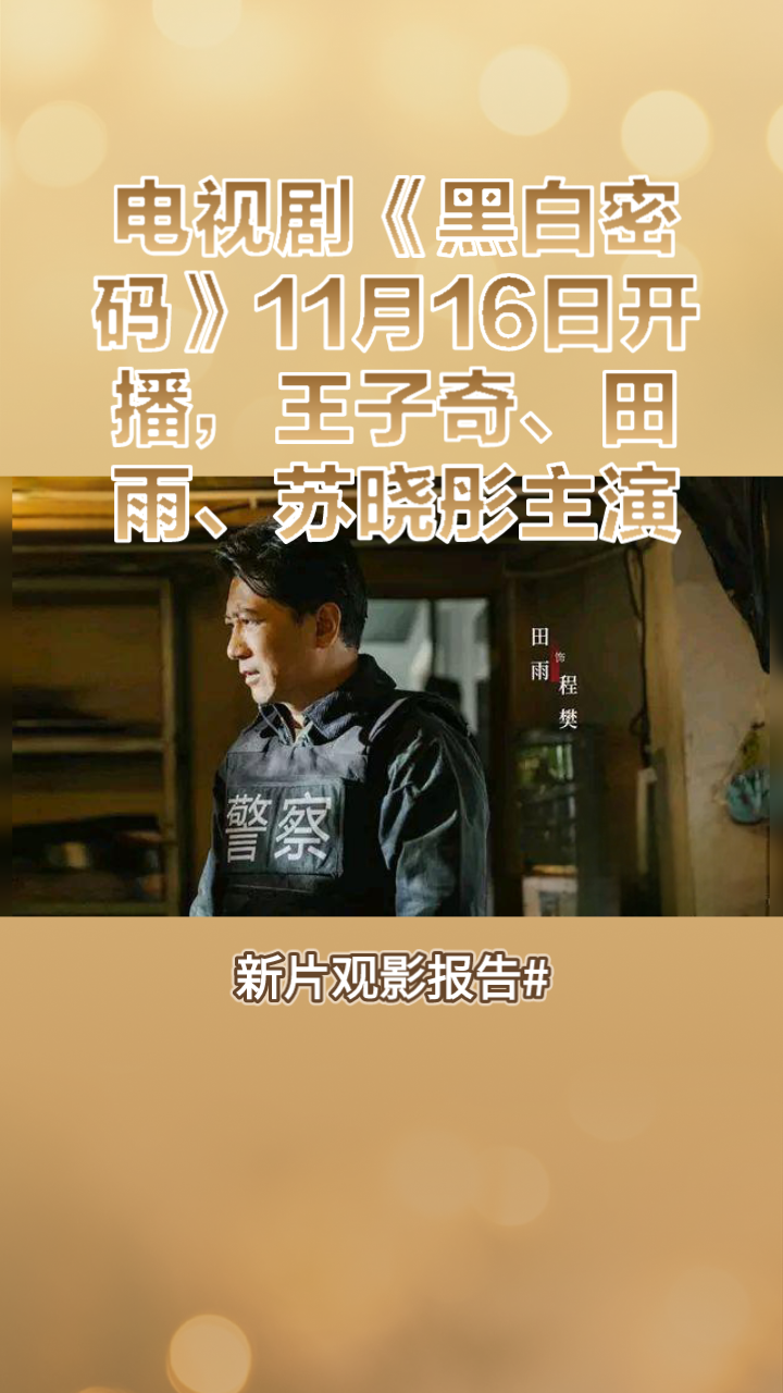 电视剧《黑白密码》11月16日开播