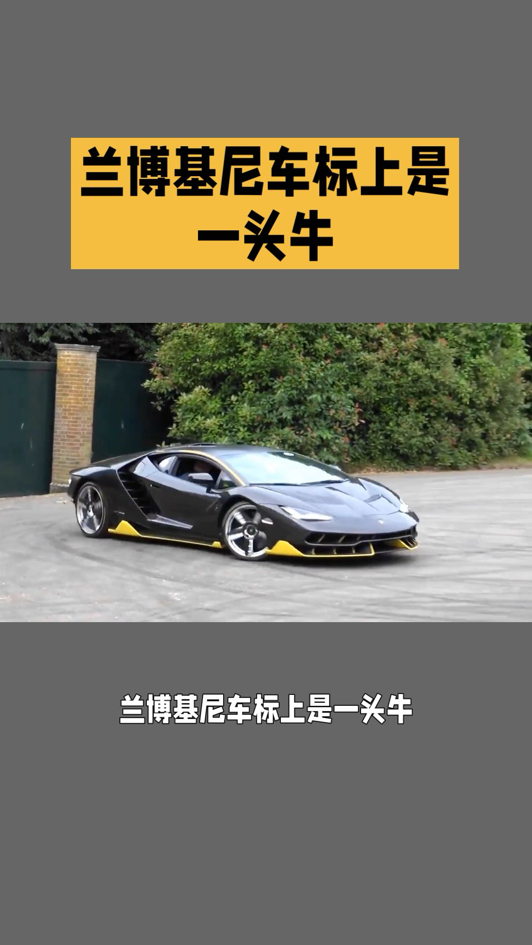 蘭博基尼車標公牛的霸氣與品牌初心