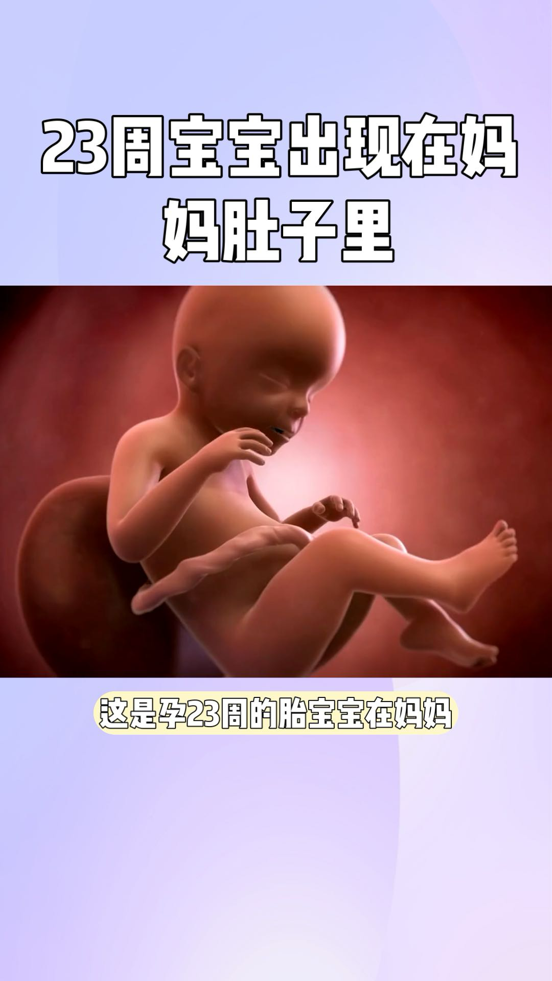 23周宝宝图片