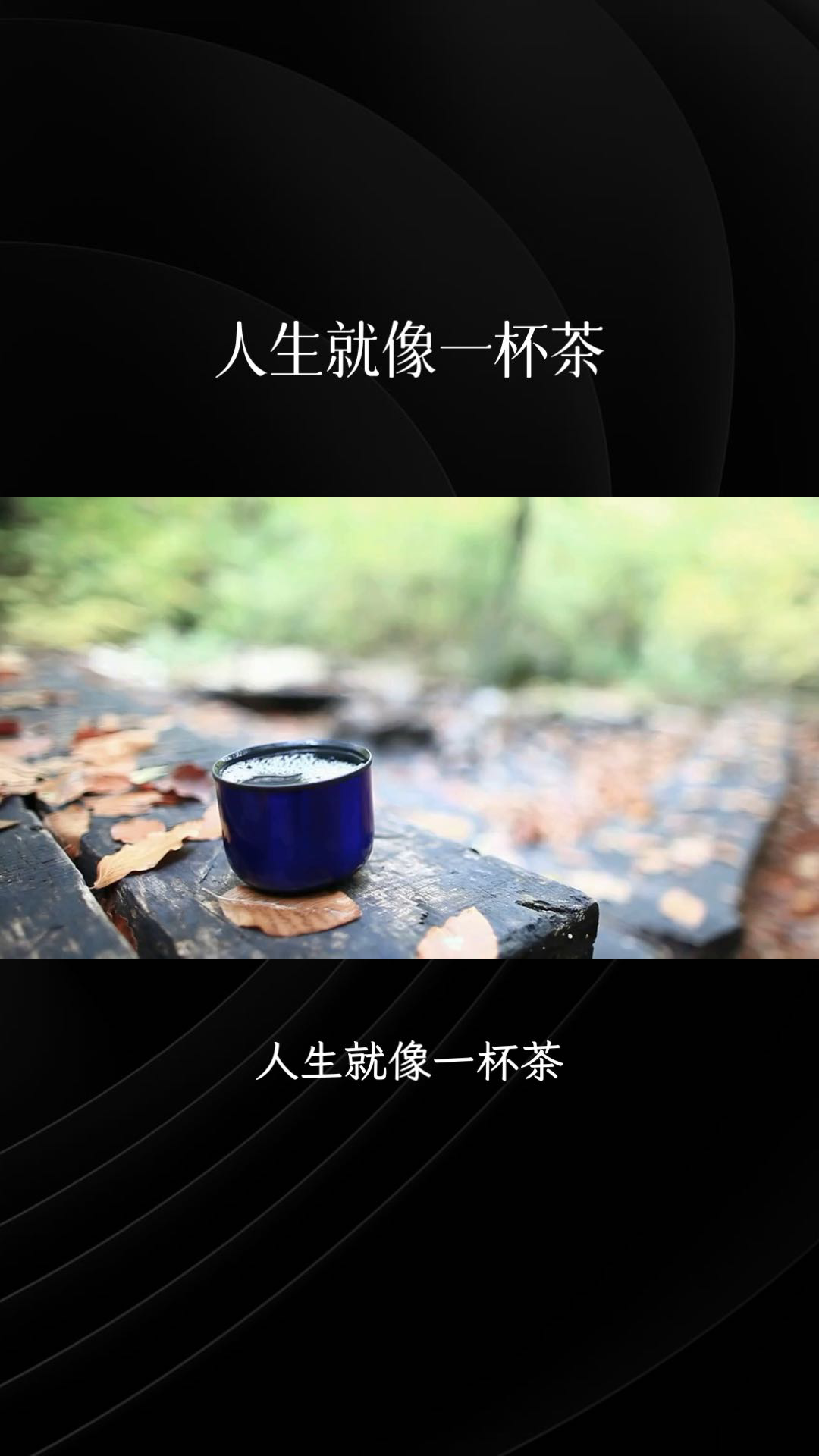 茶喻人生图片