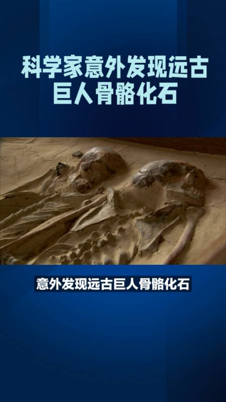 科学家意外发现远古巨人骨骼化石-度小视
