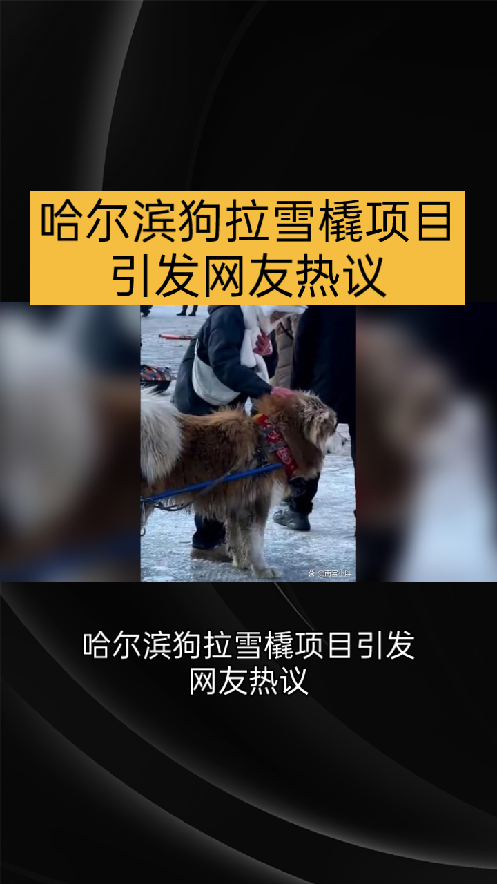 雪橇项目介绍图片