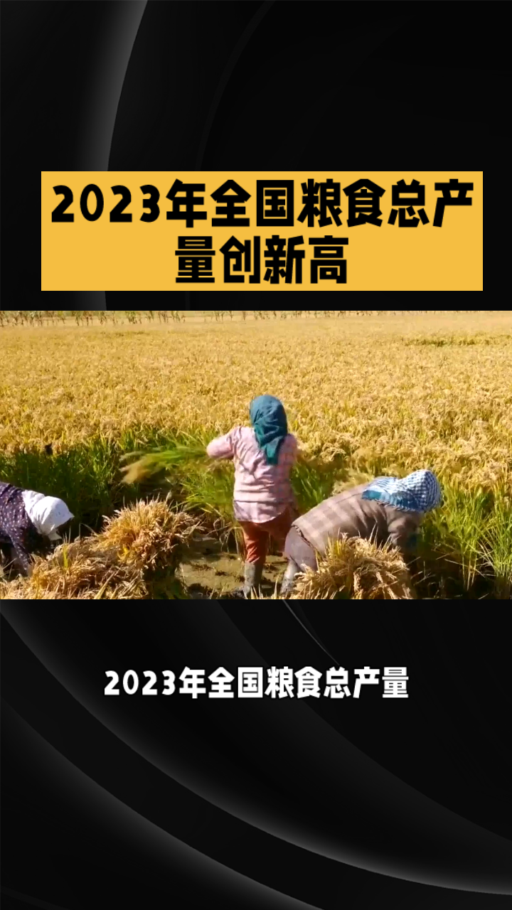 2023年全国粮食总产量创新高