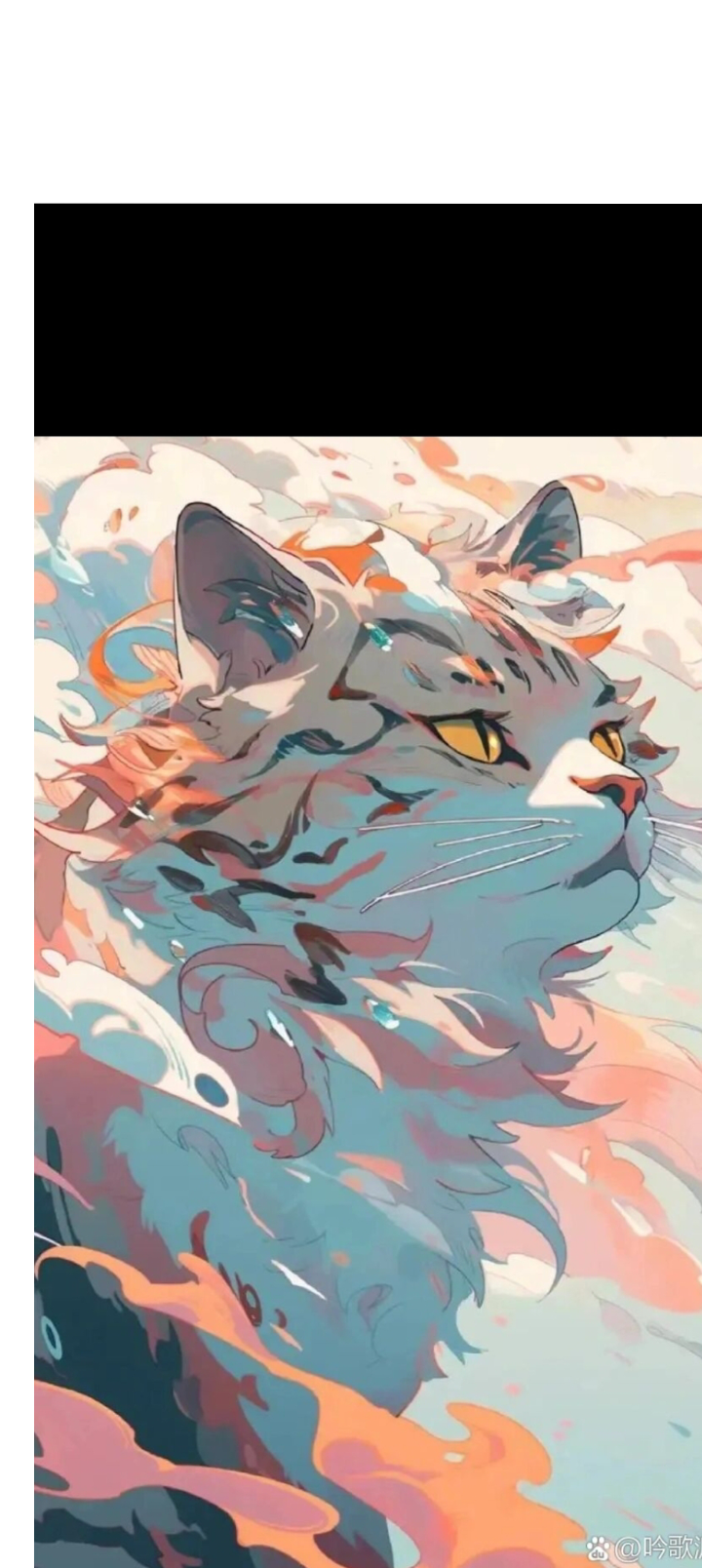 猫武士,陪你一生