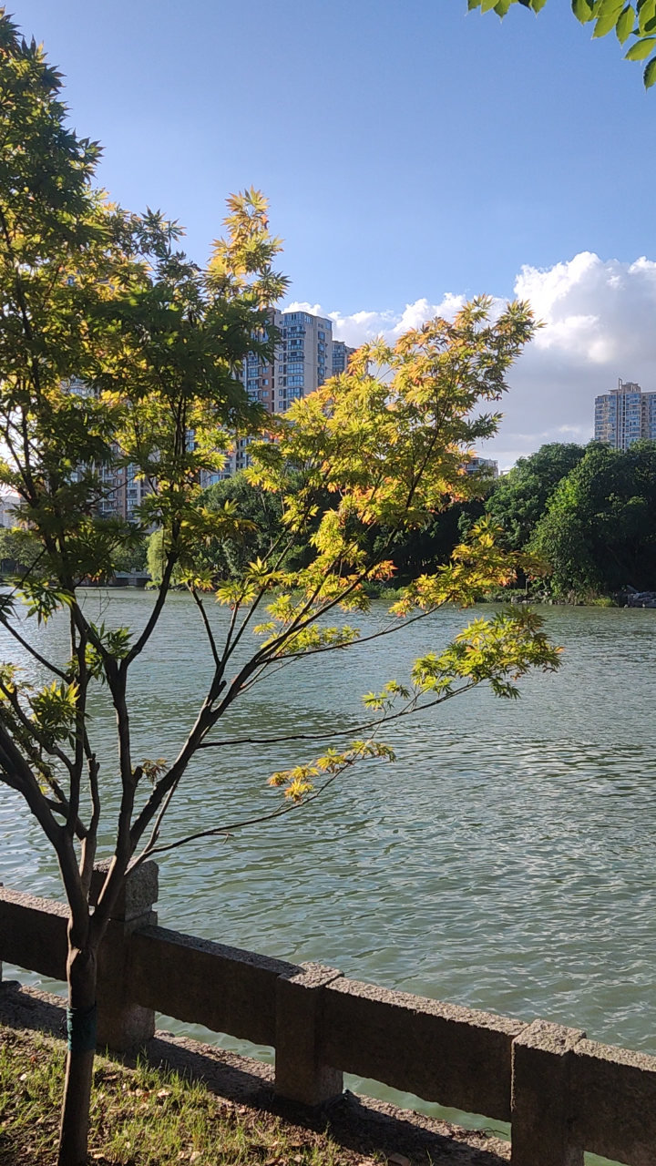 河边步道,曲径通幽.  33