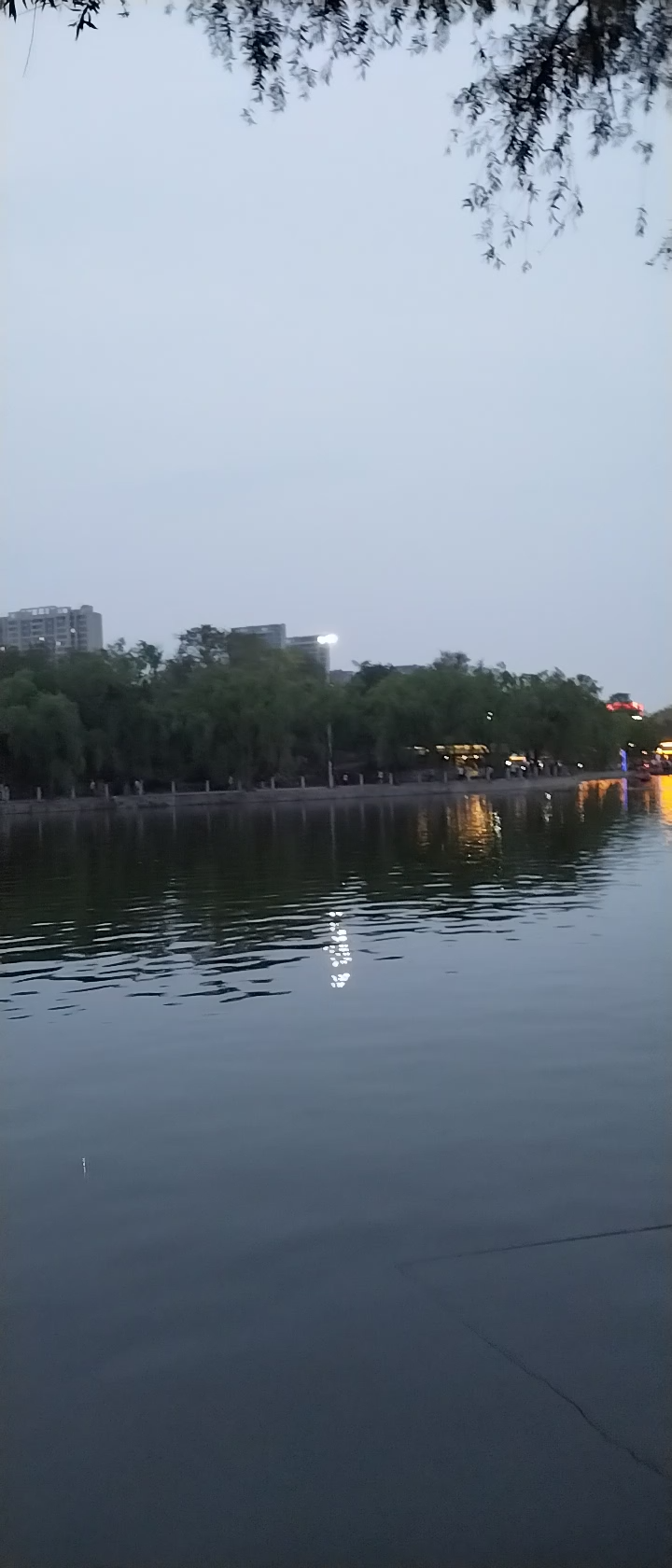 公园傍晚迷人的夜色