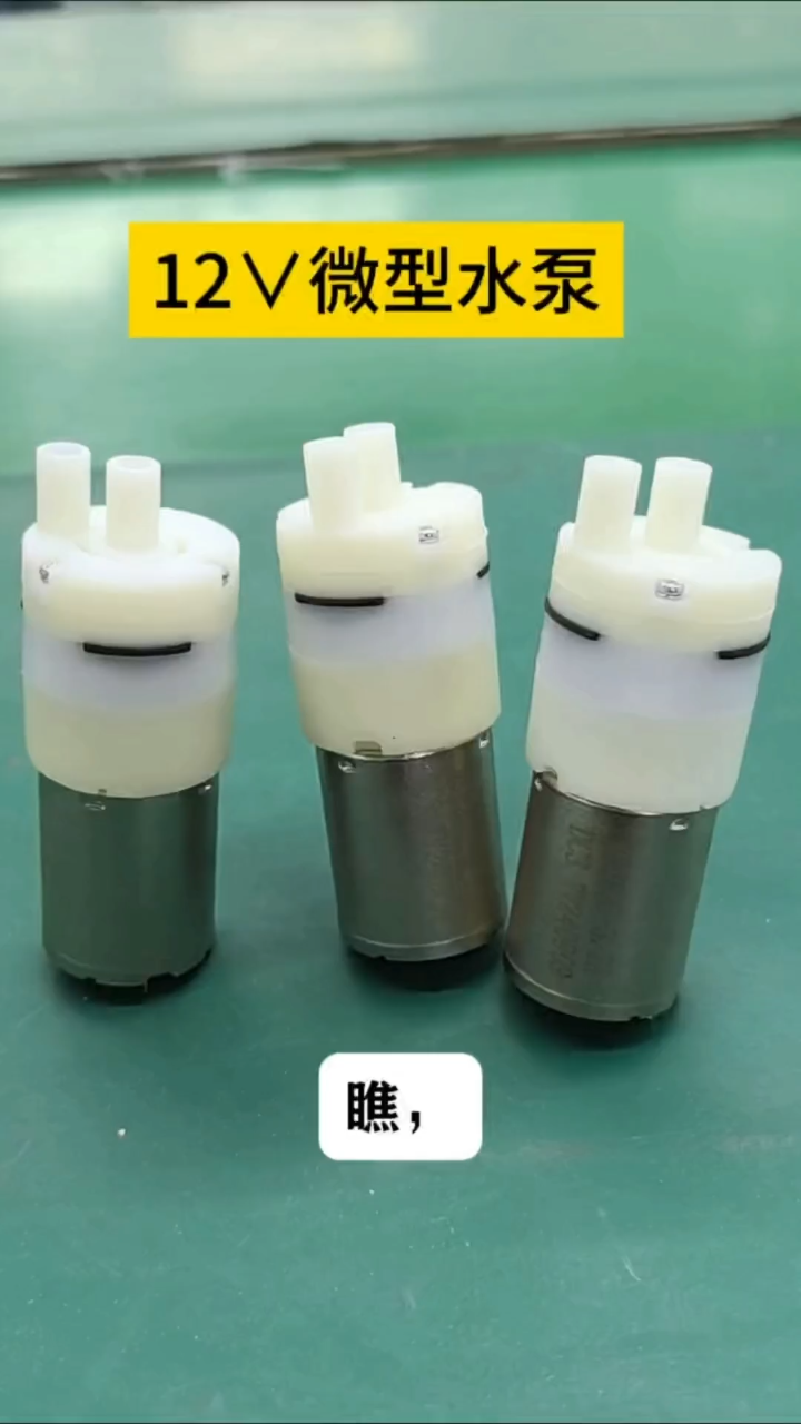 12伏小水泵来了