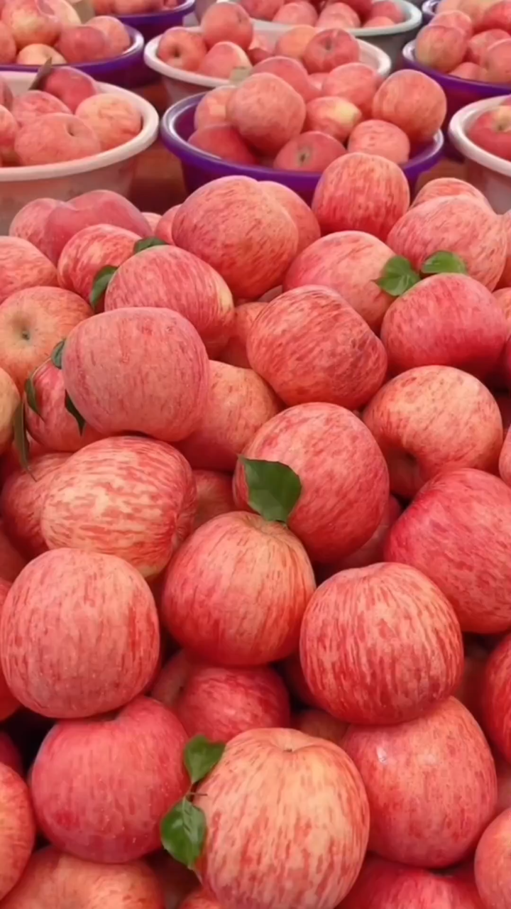 洛川苹果,四季营养首选