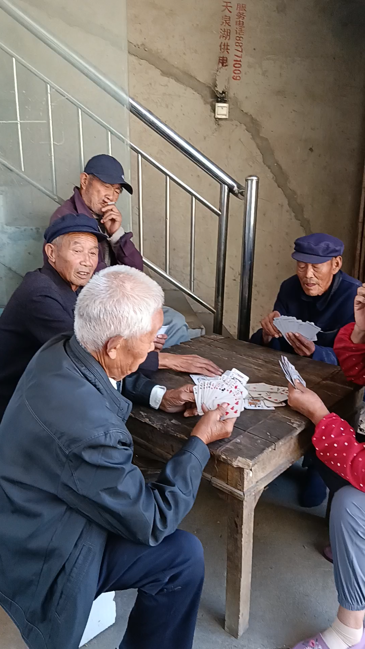 几个老人打牌有瘾啊