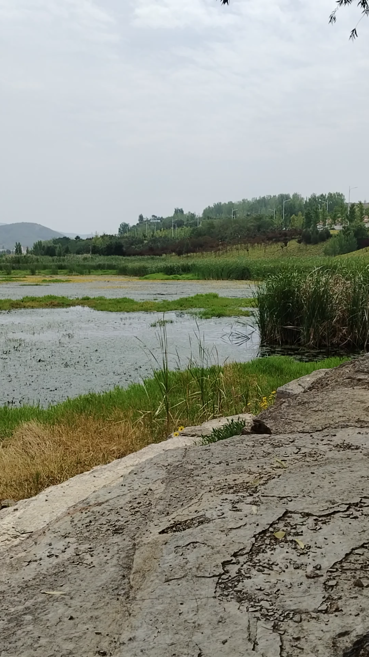 最美的水边风景图片图片