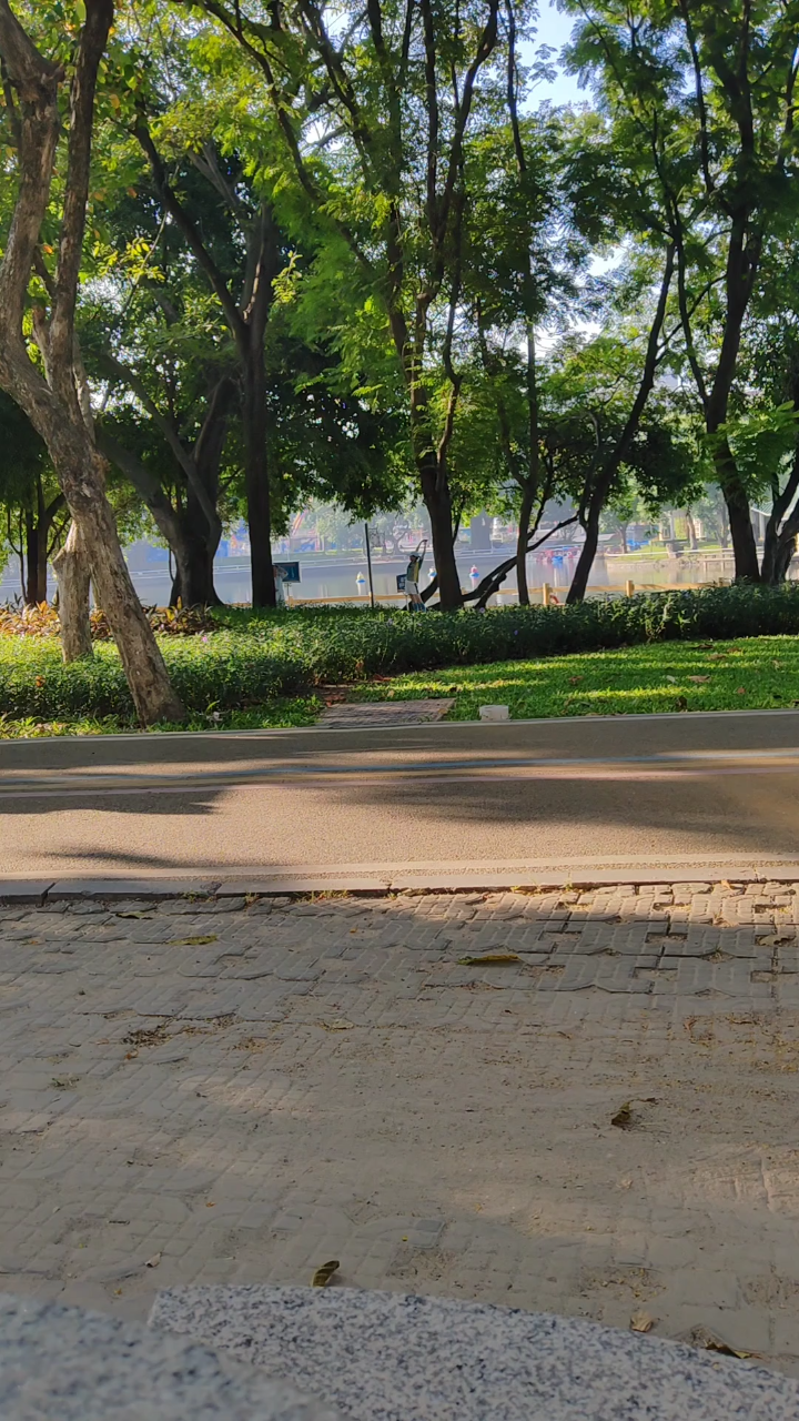 早晨公园里的风景