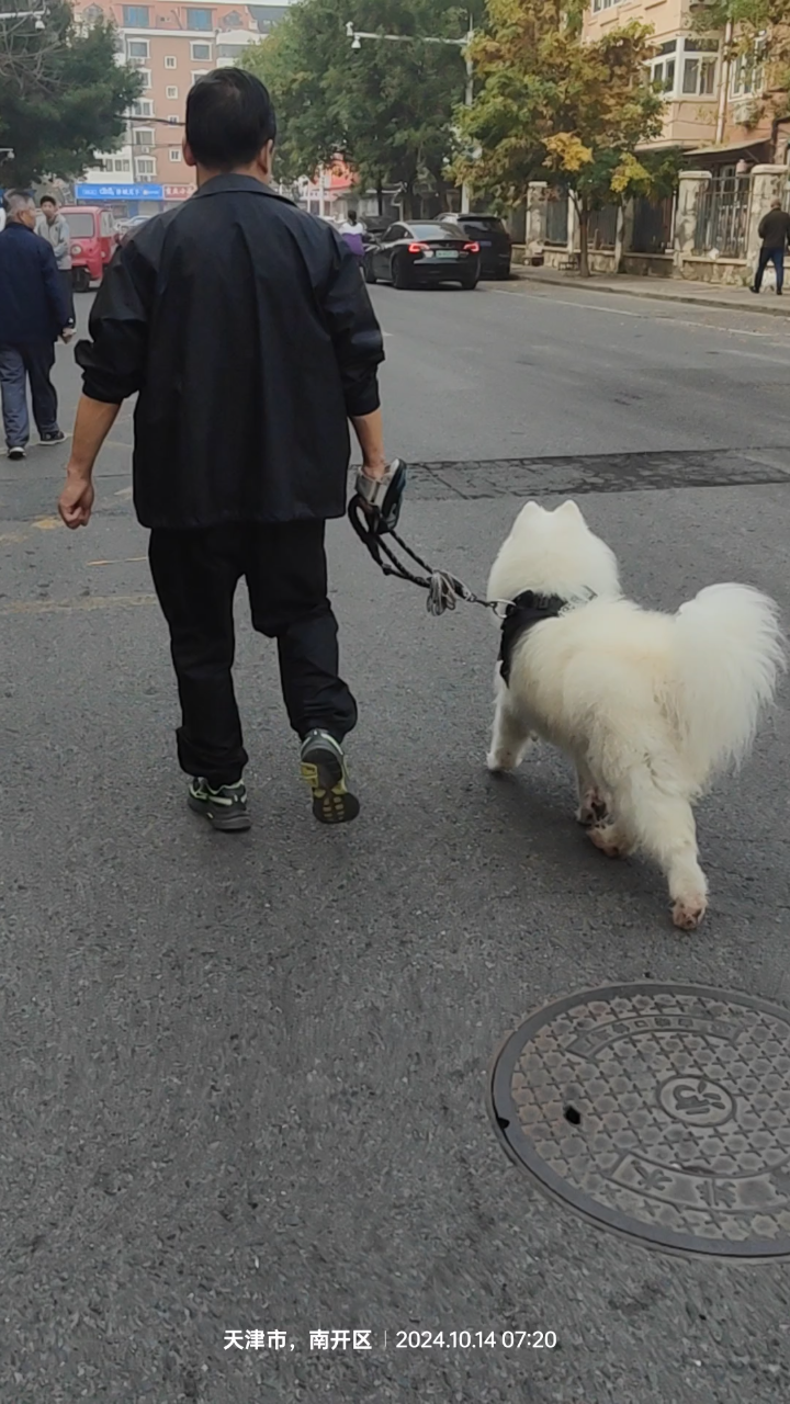 大白狗和它的主人