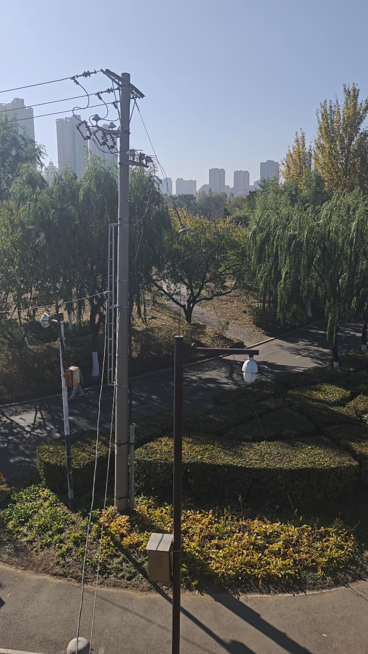 浑河南岸的树木与河流