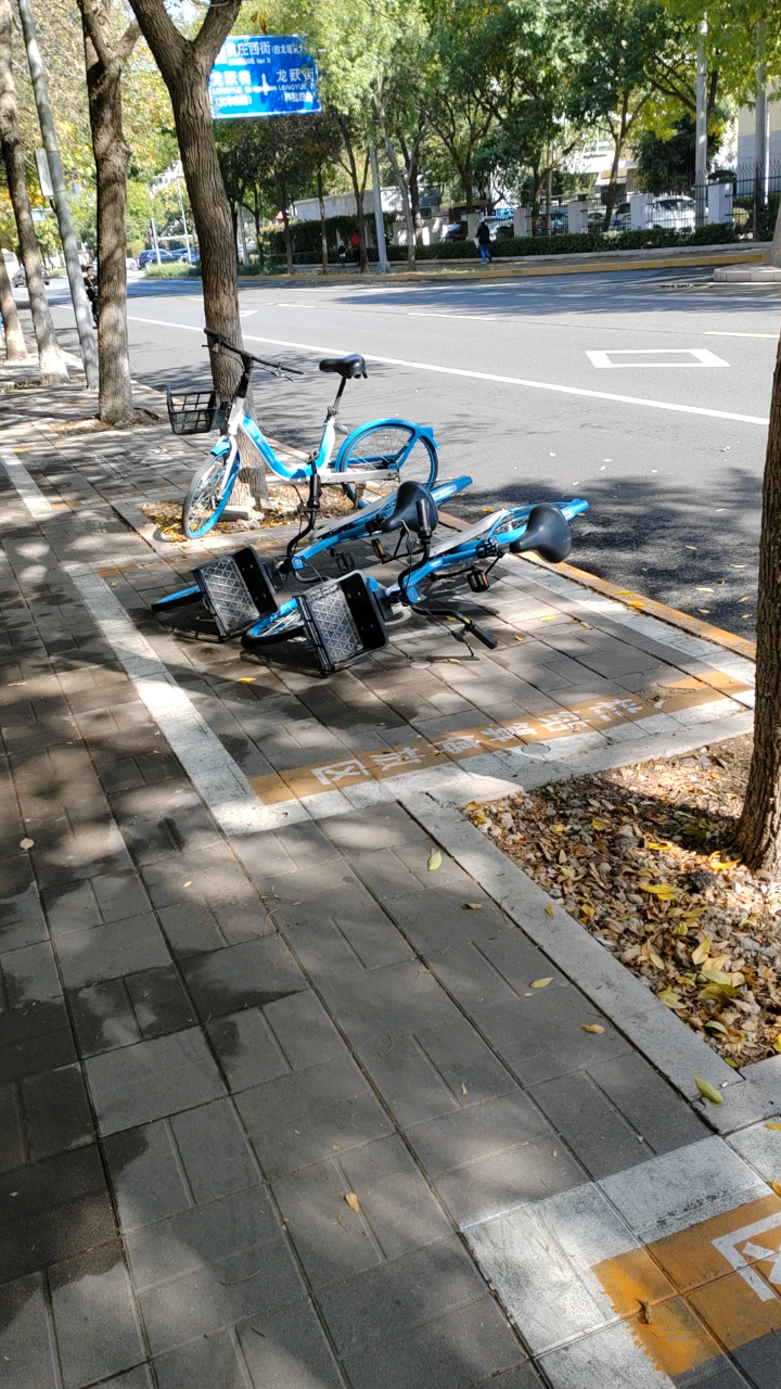 共享单车怎都倒了