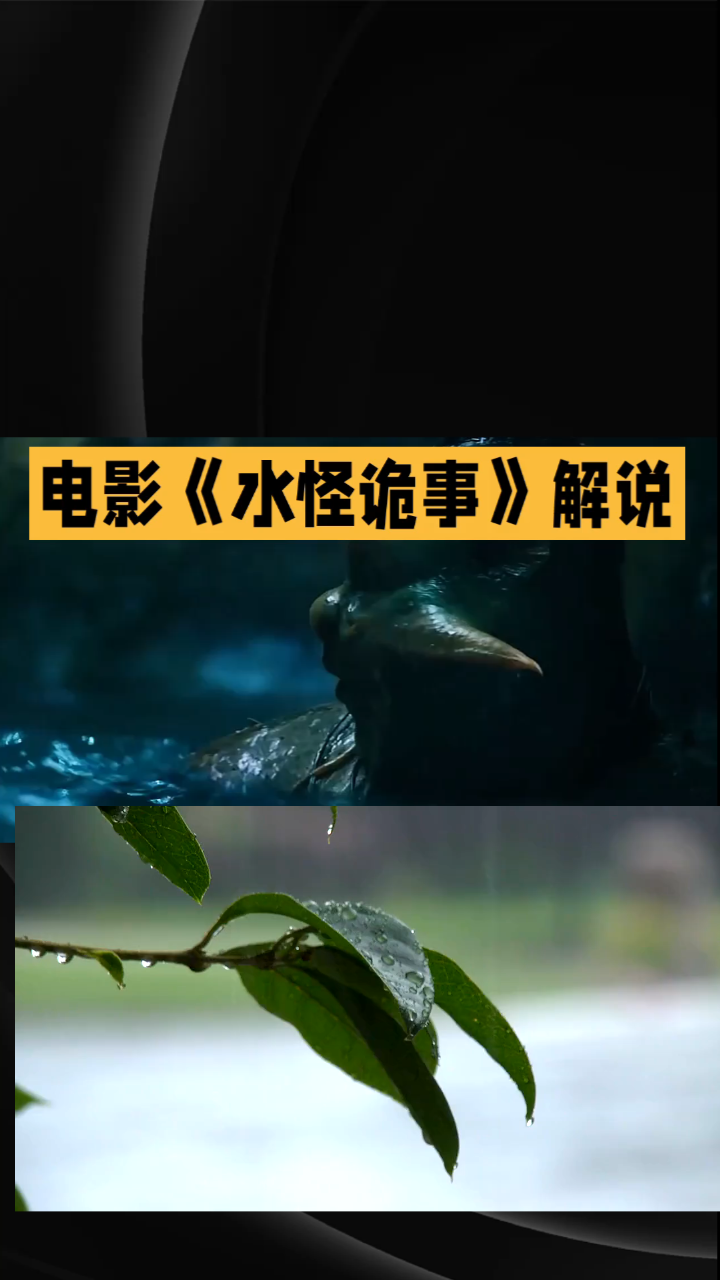 水怪二黑木林:揭秘水猴子真相