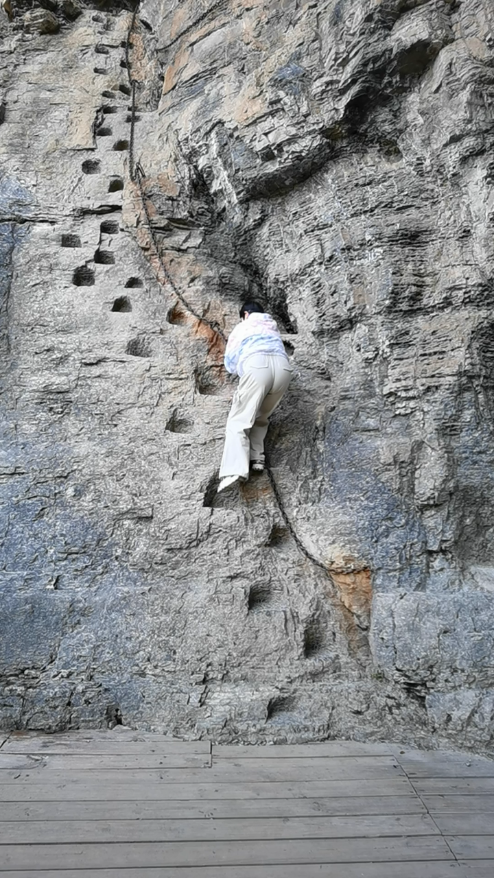 努力向上爬,爬,爬