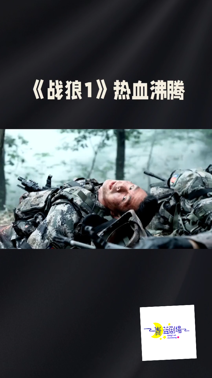 战狼一:热血战士的传奇