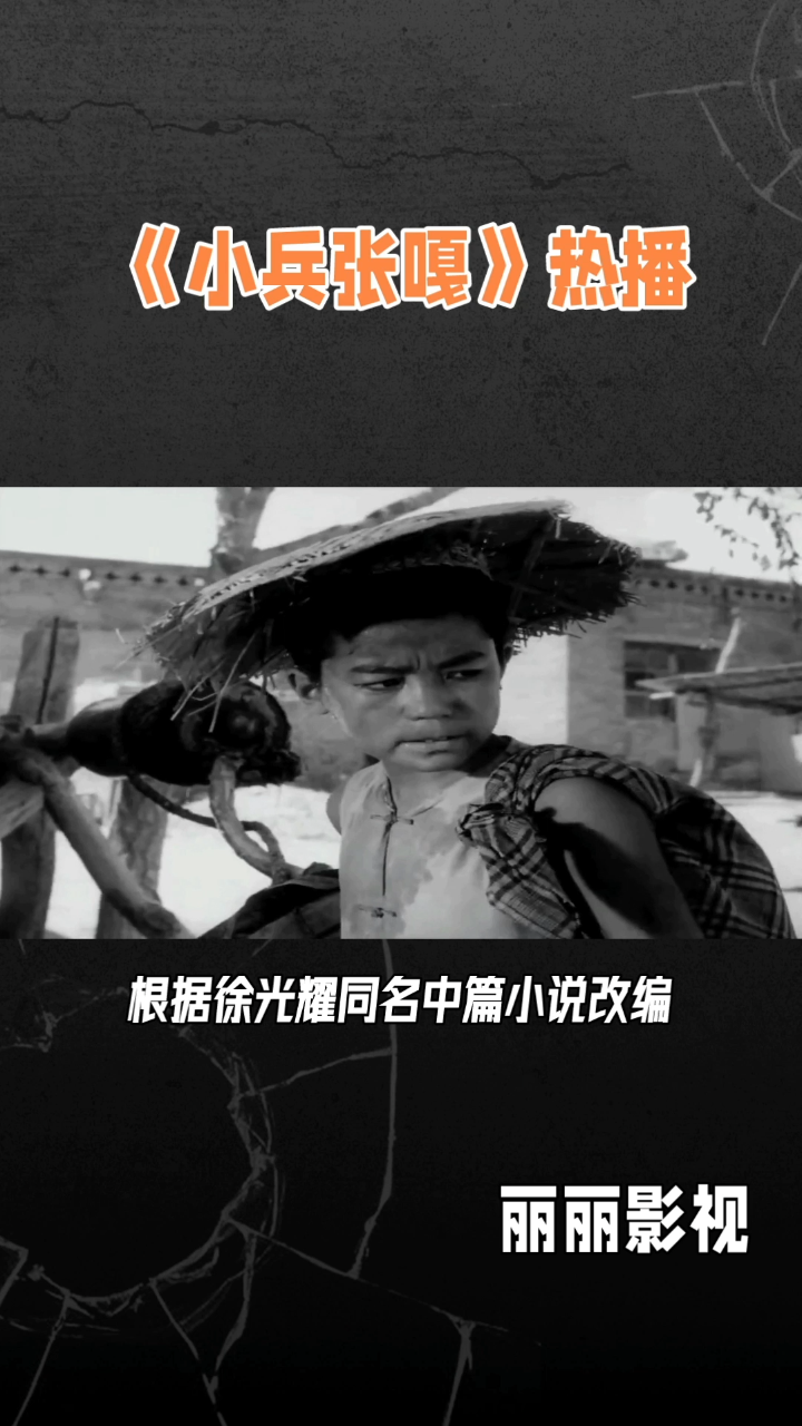 介绍战争时期《小兵张嘎》