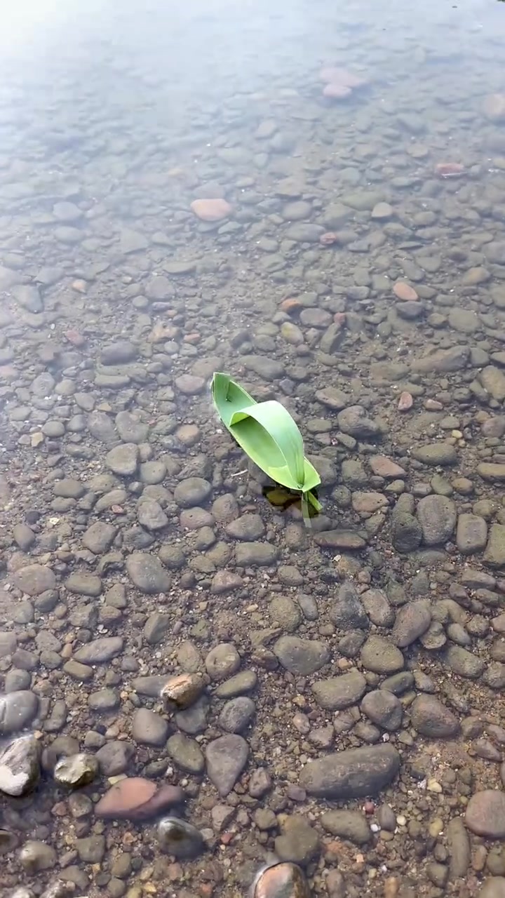 还记得小时候用芦苇叶子做的乌篷船吗,勾起满满的童年回忆