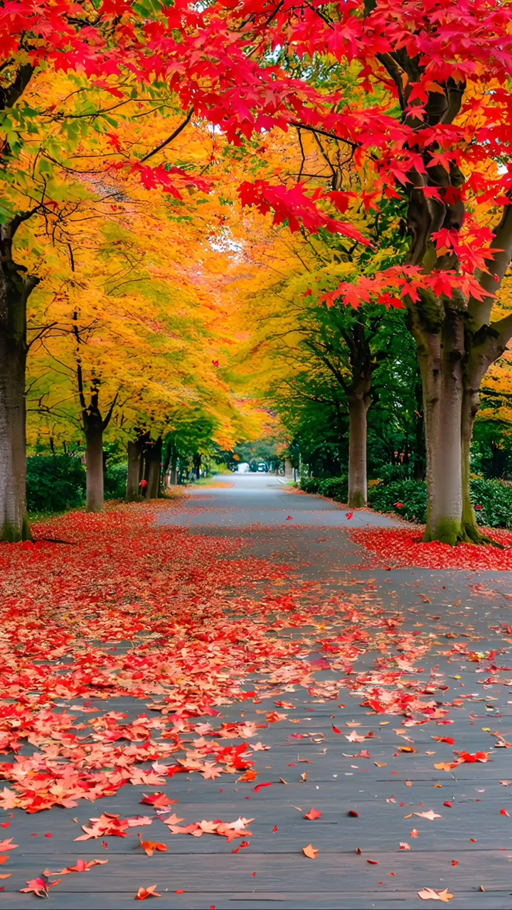 美丽风景,心旷神怡