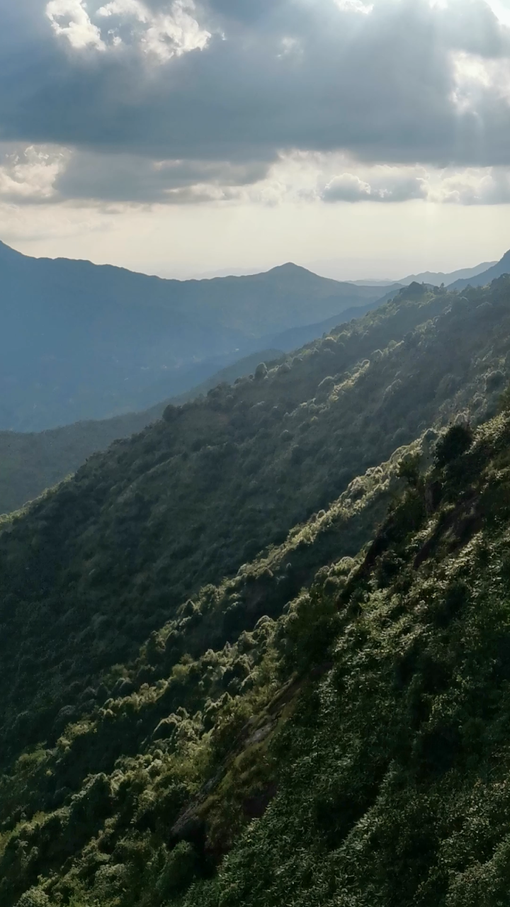 潮州凤凰山凤鸟髻