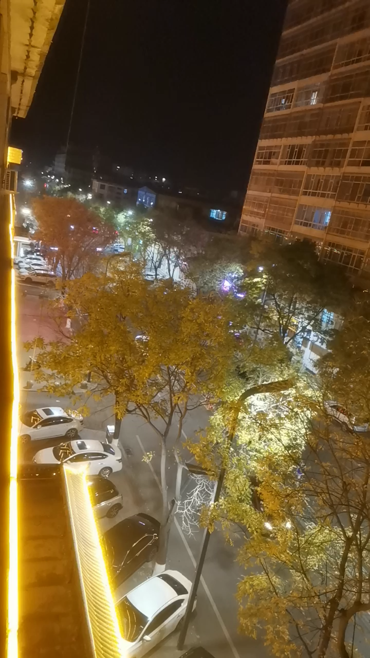 城市夜晚漂亮的美景