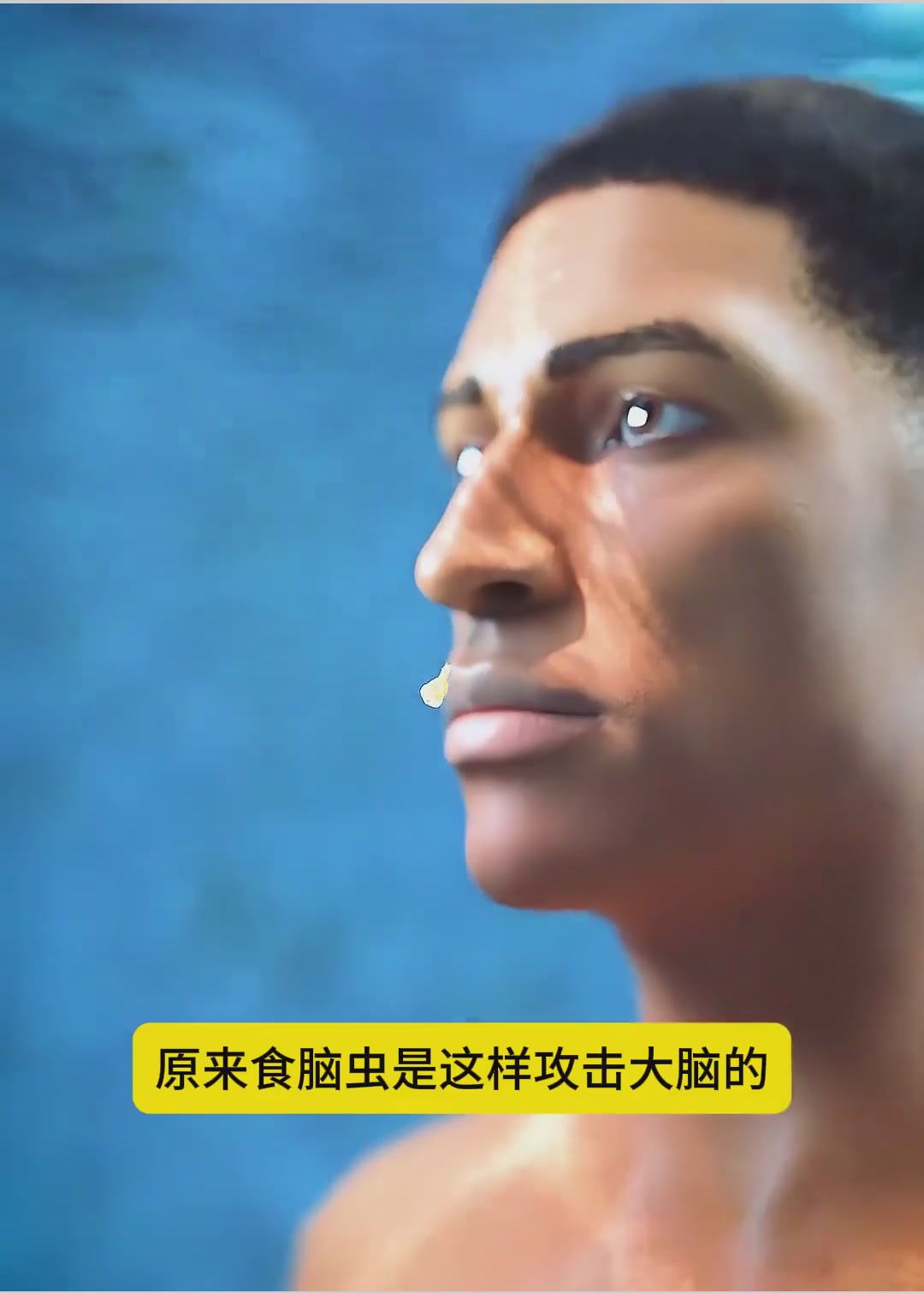 食脑虫是怎样进入人体的?和怎样啃食大脑的?