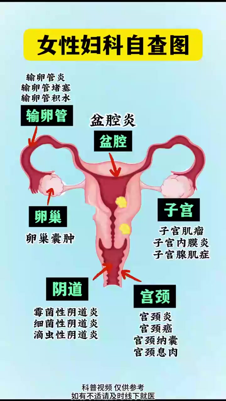 女性子宫的各个部位,你了解吗?