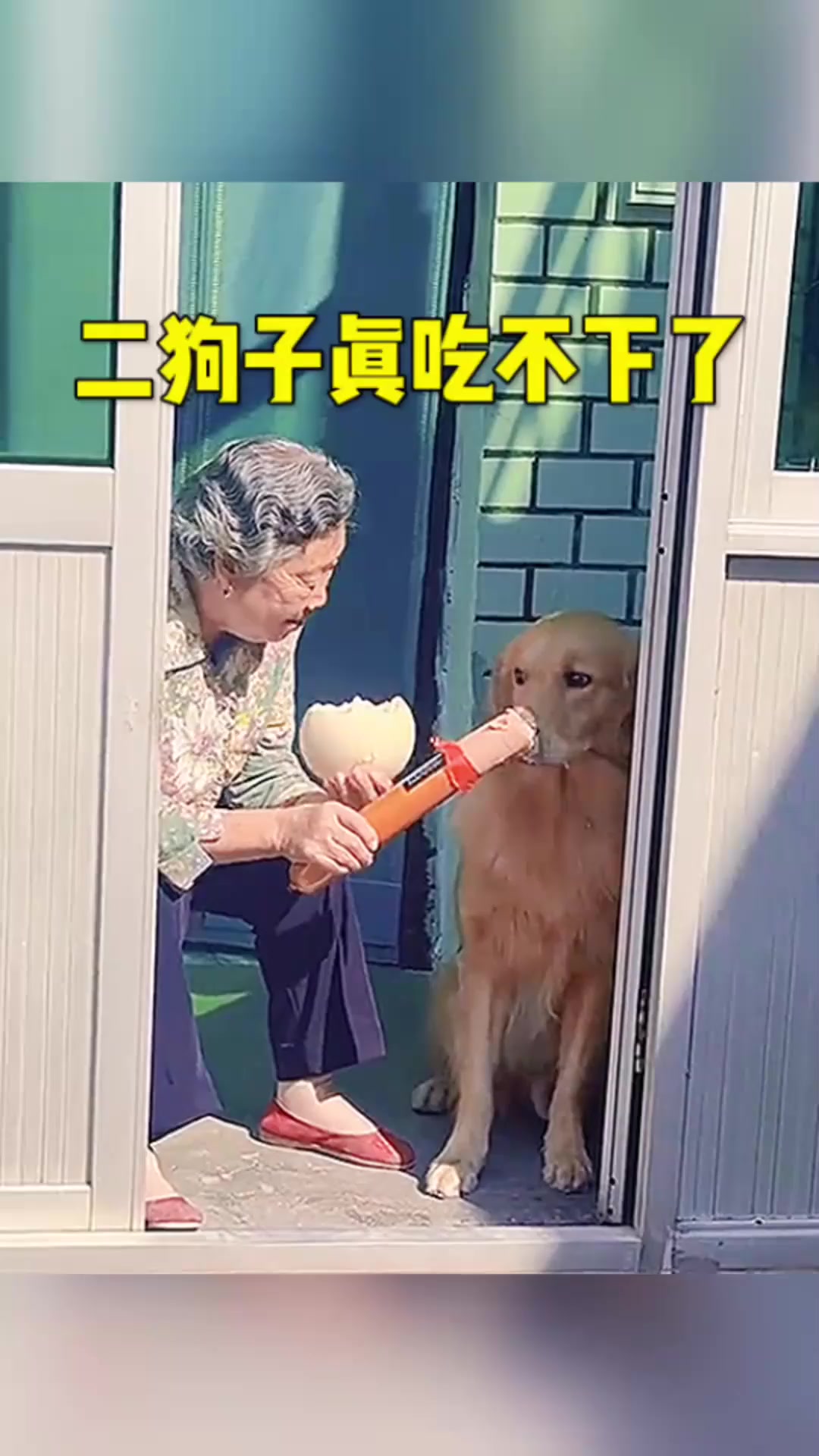 二狗子真的吃不下了