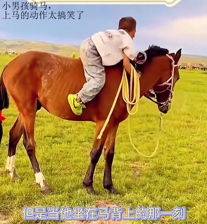 小男孩骑马,上马的动作太搞笑了