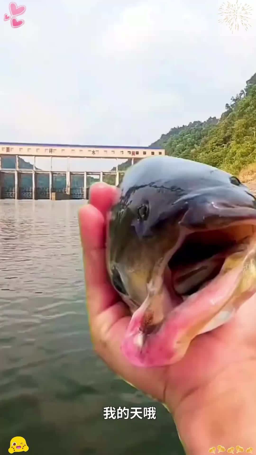 男子钓到了一条畸形的鱼!