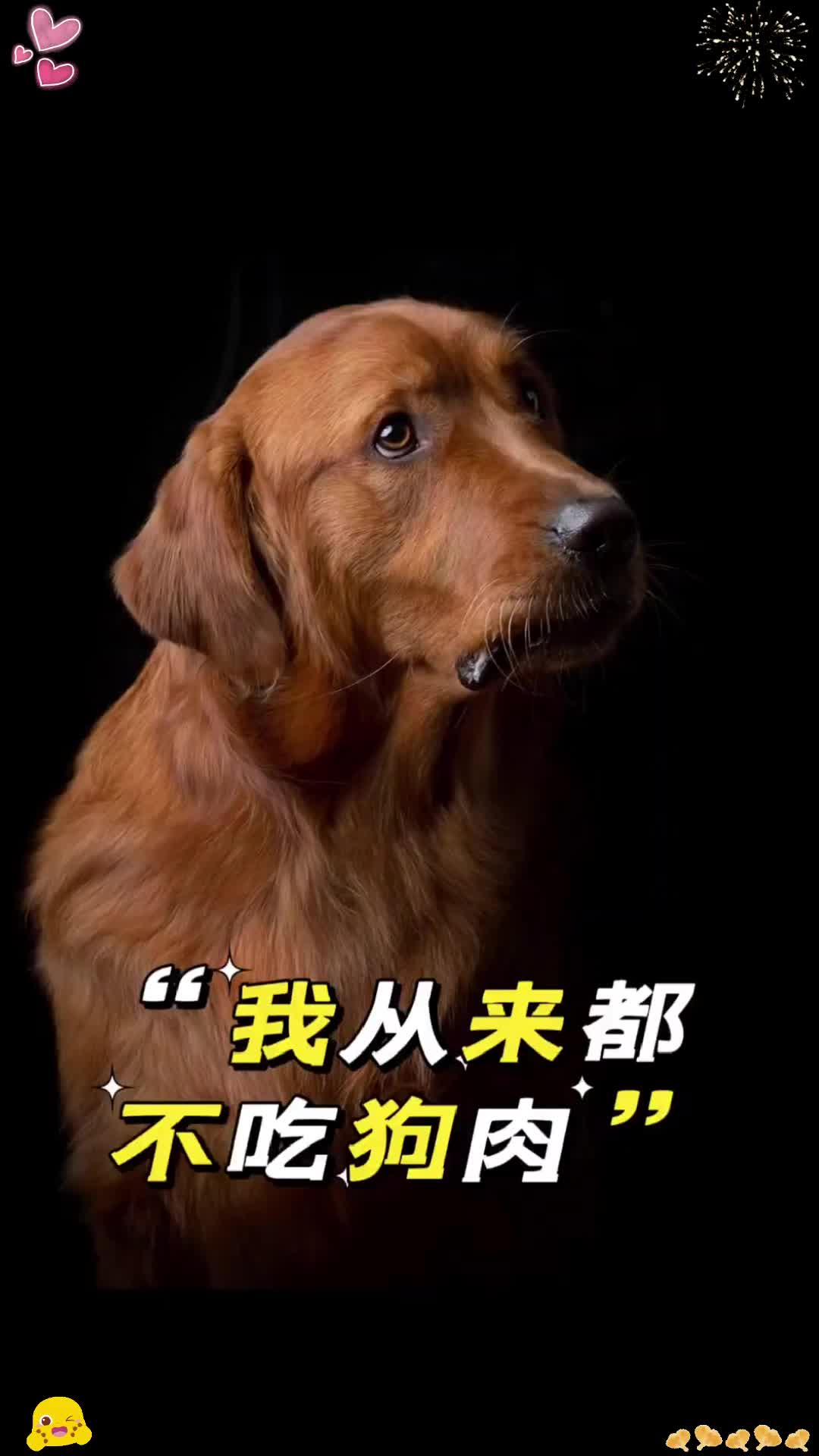 为什么不吃狗肉