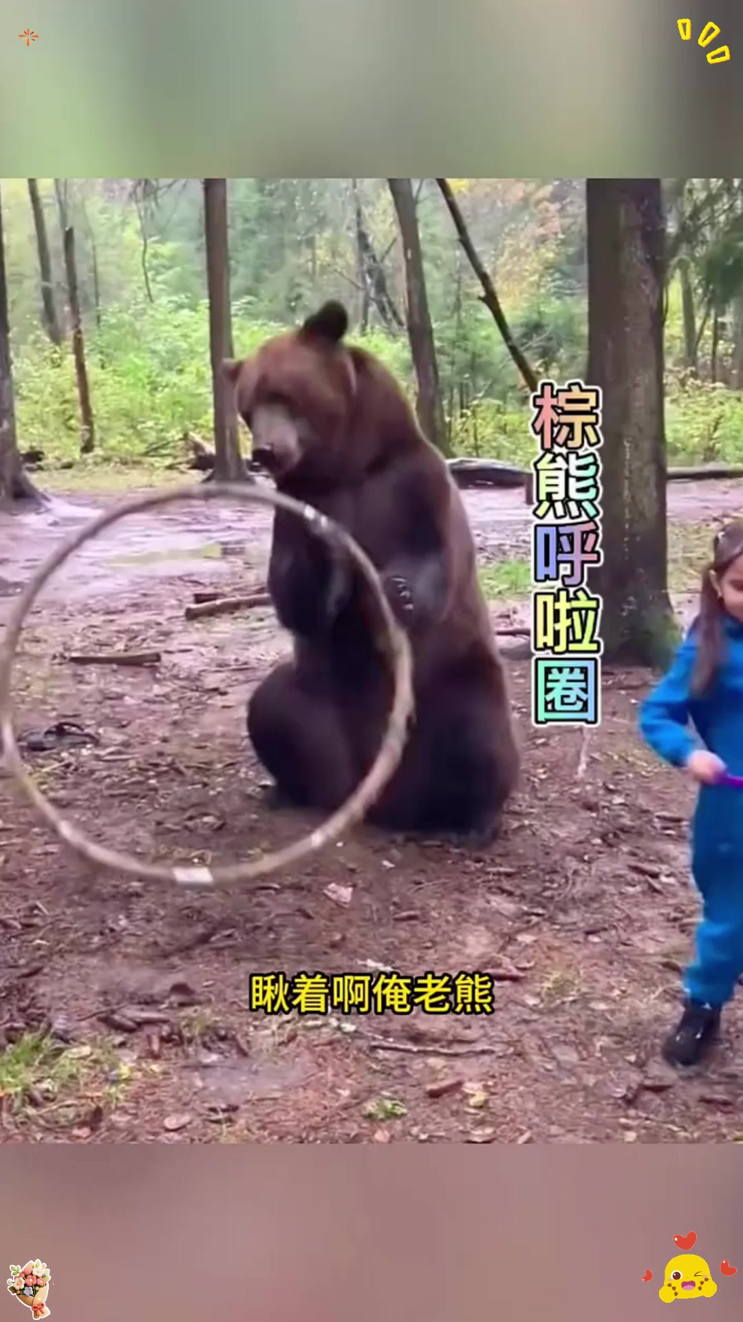 棕熊用脖子摇呼啦圈,真是太有才了