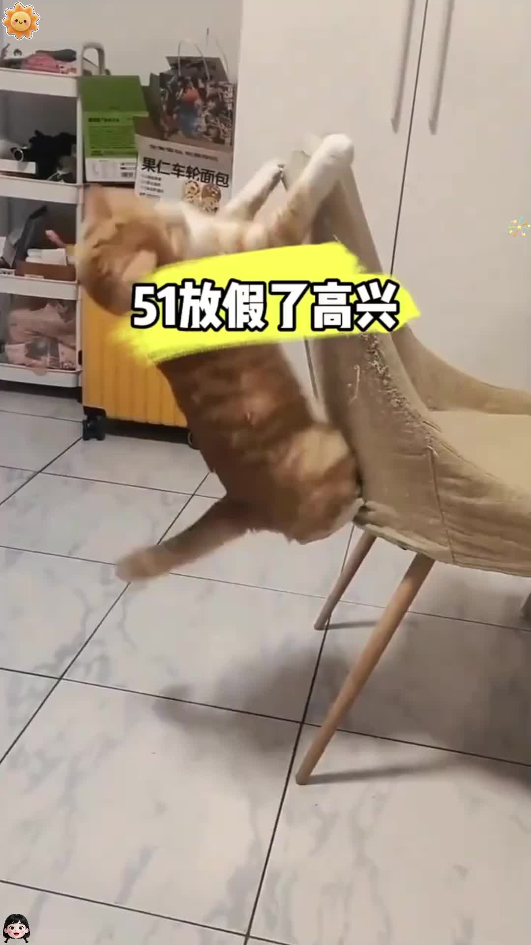 为什么高兴还不去做呢表示愿意去做应该去做百科在线