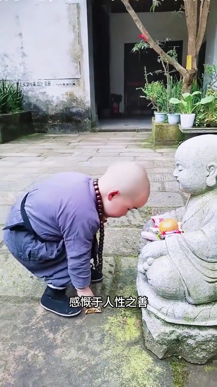 充满爱意的小和尚,太可爱了