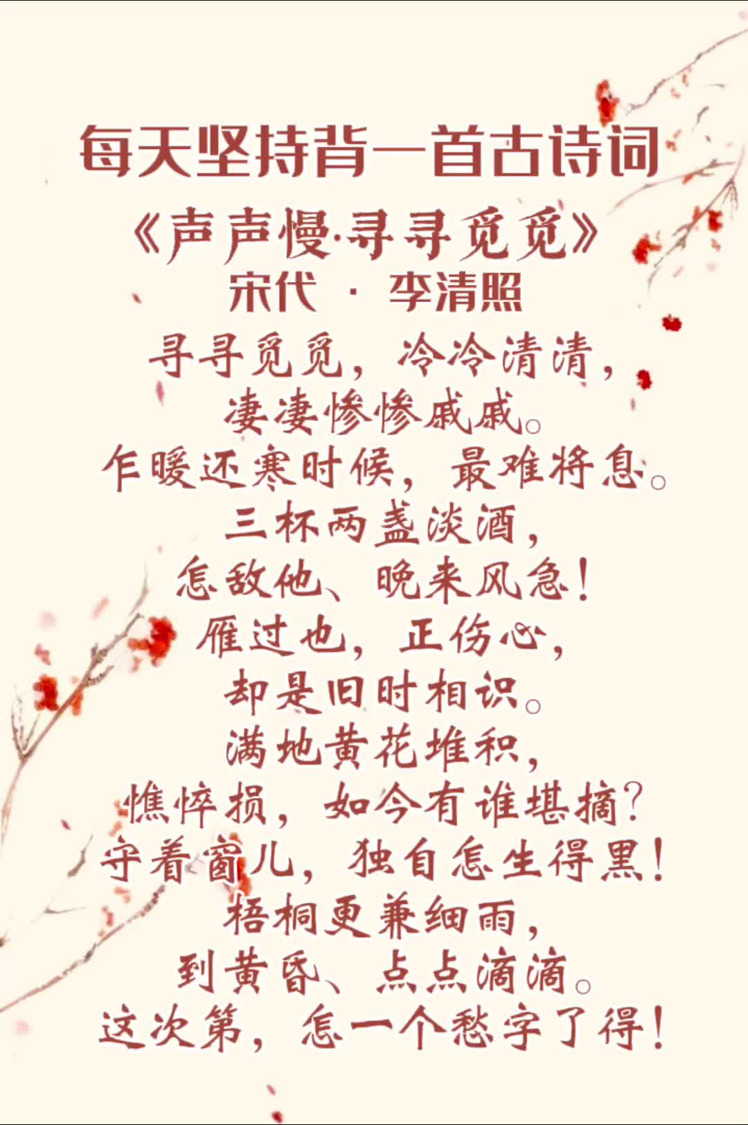 每日诗词:35 《声声慢·寻寻觅觅》李清照