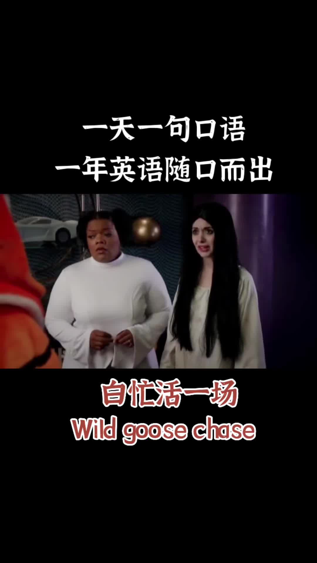 白忙活一场wild goose chase