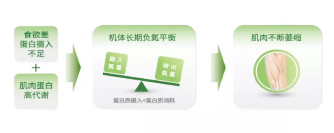 不同的抗癌治疗阶段,饮食与营养该如何兼顾?