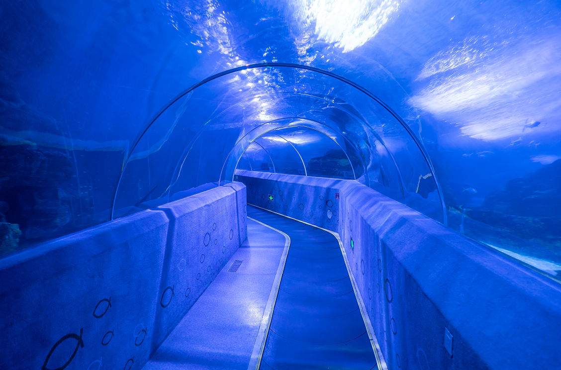 耗资2亿,占地7000平方米!青岛这一海底世界,景色超棒