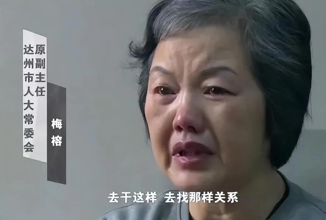 回顾:四川巨贪官梅榕,跟弟弟,丈夫敛财700多万,还超计划生育