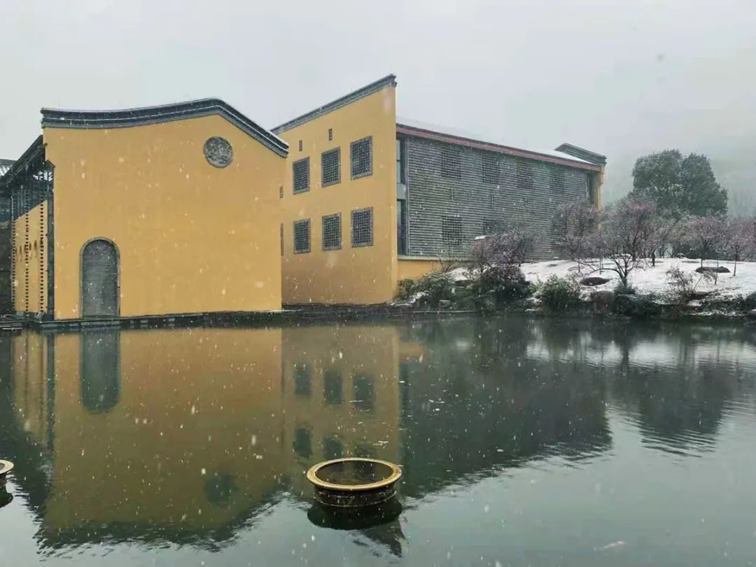 图集|杭州佛学院雪影 静悟禅思